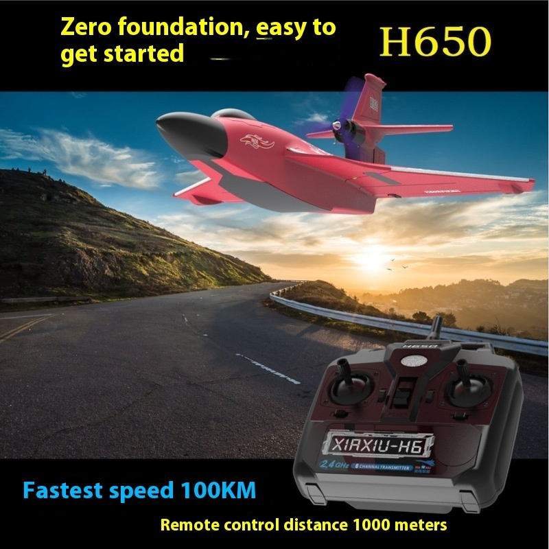 Avion RC H650 grande taille, r - Rc Wing Glider avis et prix
