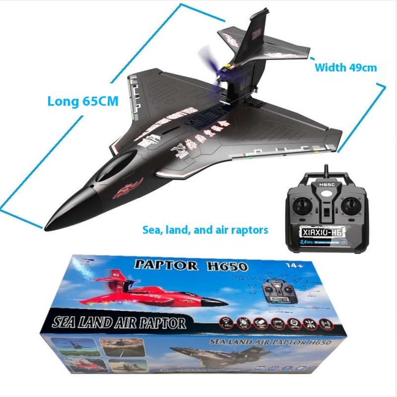 Avion RC H650 grande taille, r - Rc Wing Glider avis et prix